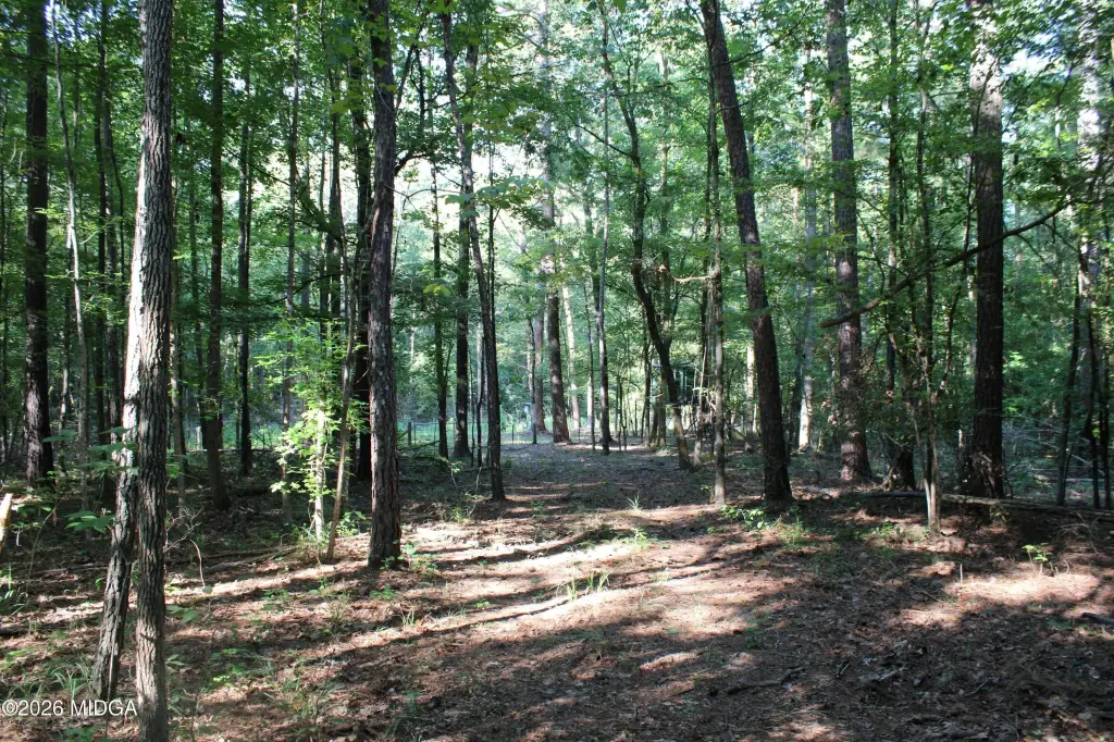 Picture 4