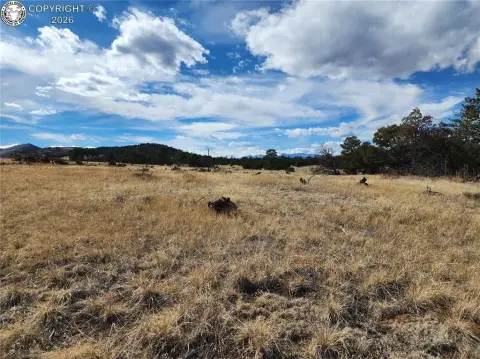 Residential Land in Cotopaxi, CO