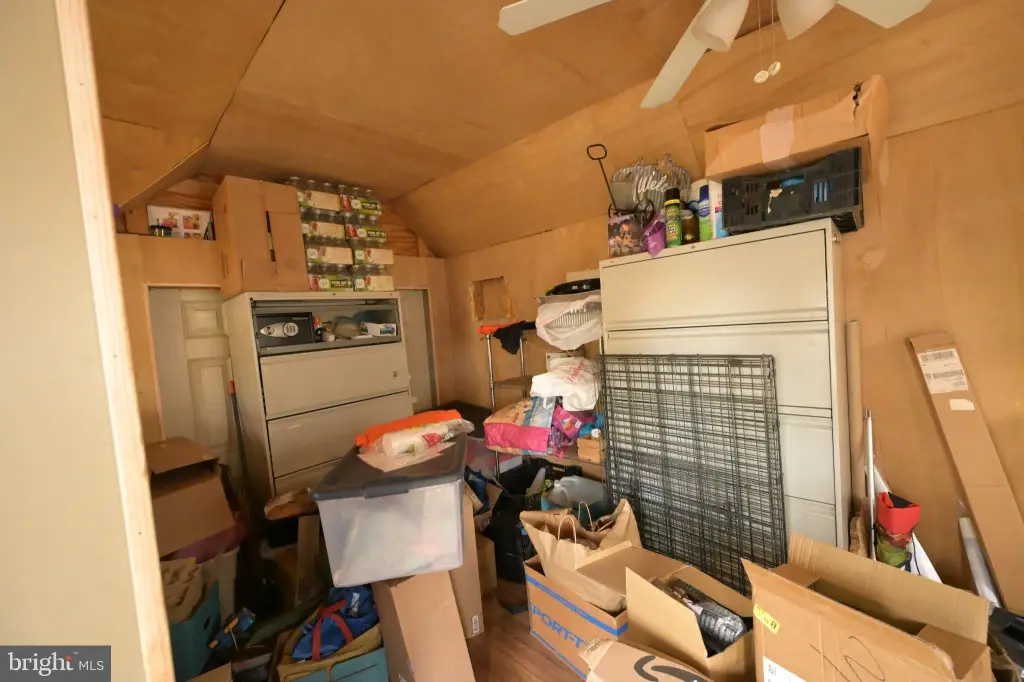 Picture 43