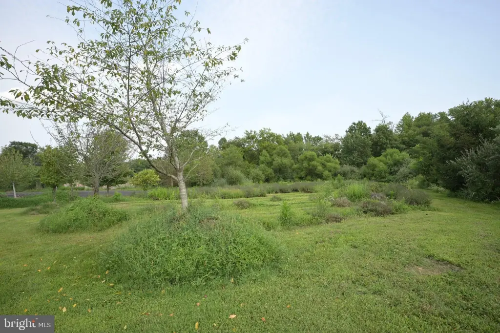 Picture 28
