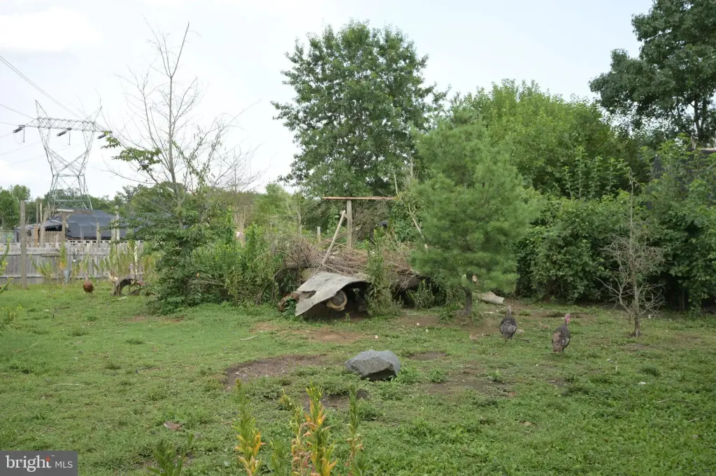Picture 37