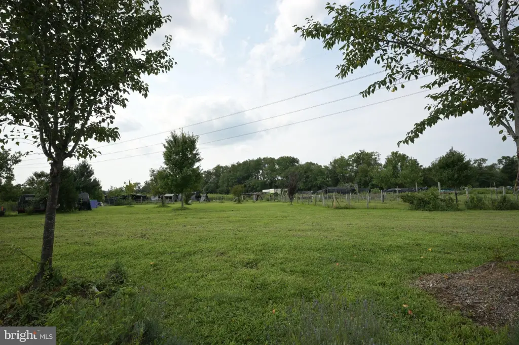 Picture 31