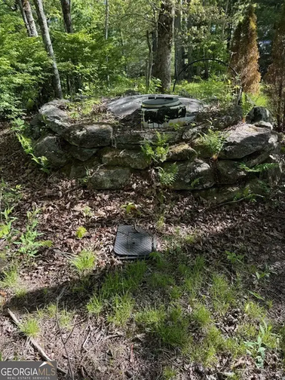Picture 5