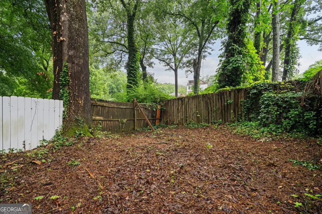 Picture 23