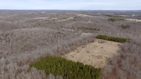 168 Acres of Hunting Land