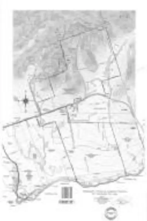 Picture 29