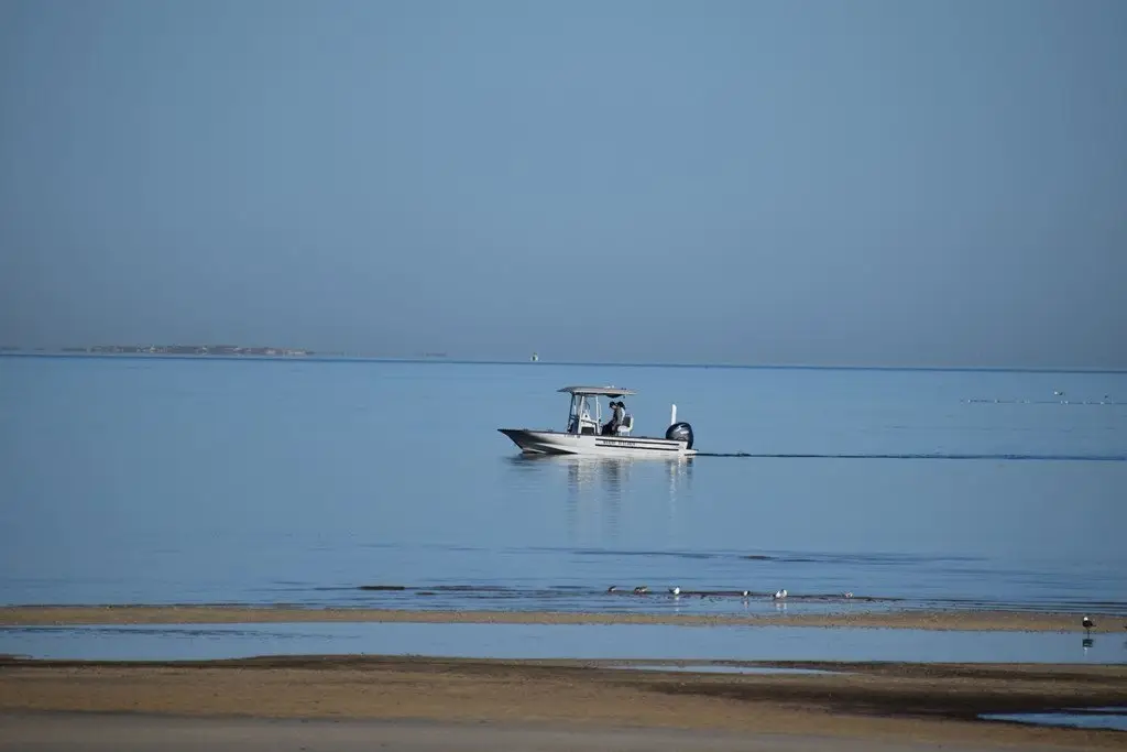 Picture 41