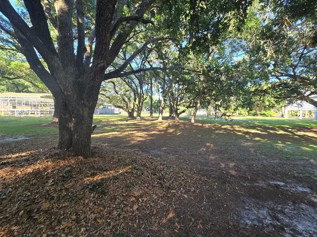 Picture 24