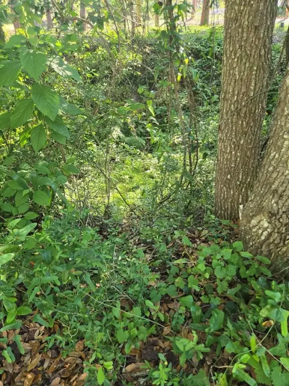 Picture 28