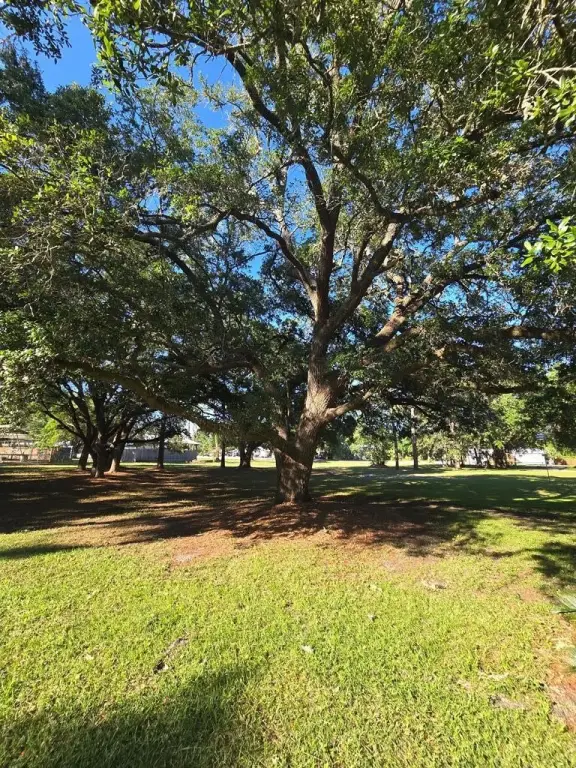 Picture 22