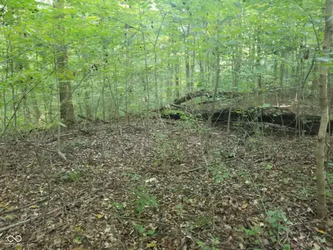 Buildable Lot with Lake Access