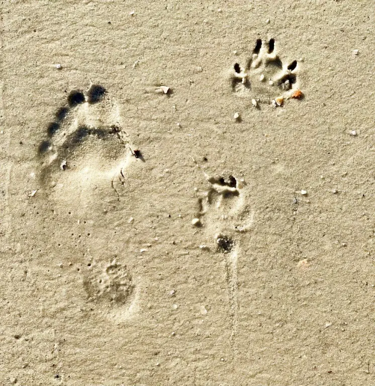 Picture 20