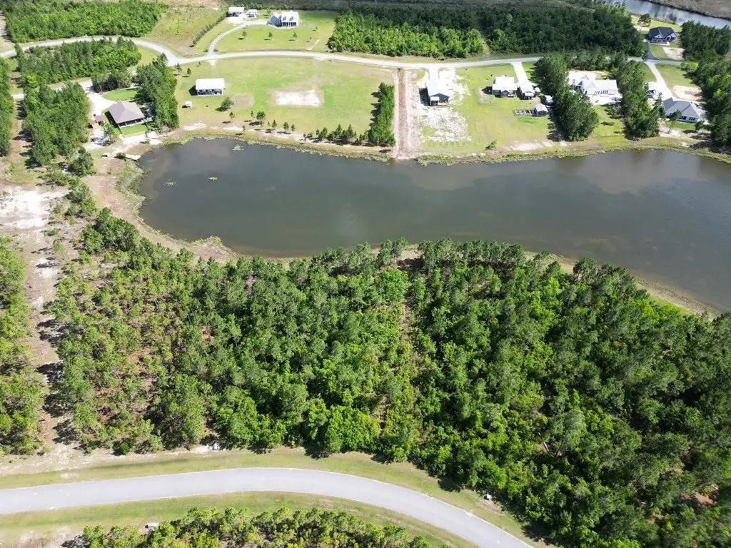Picture 5