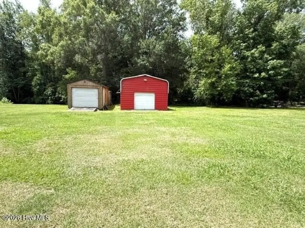 Picture 5