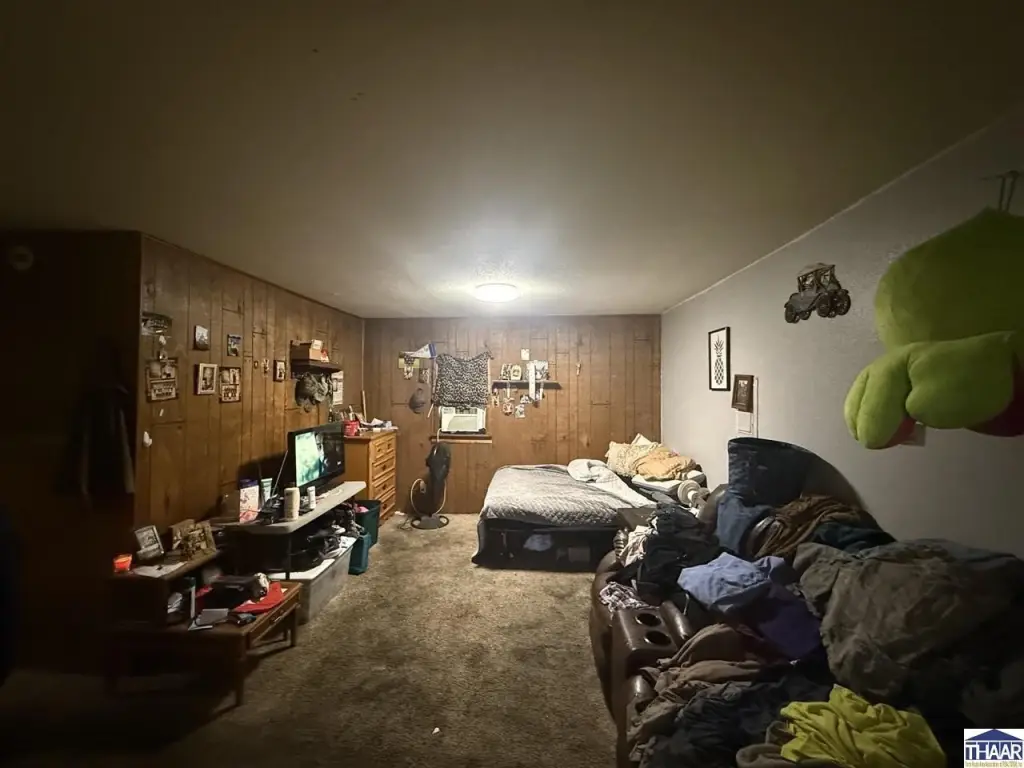 Picture 28