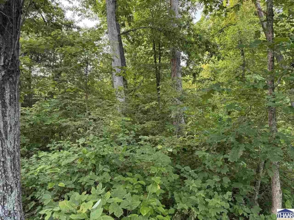 Picture 27