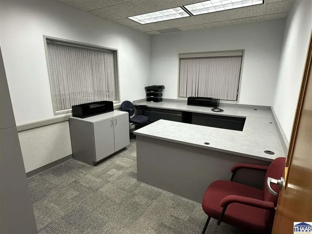 Picture 15