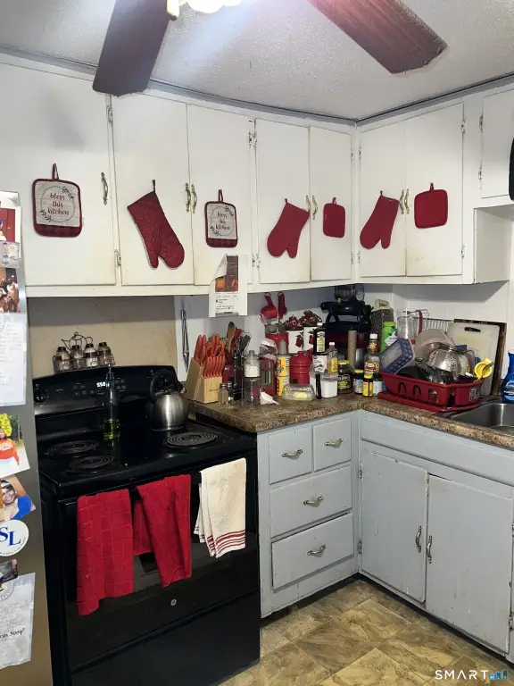 Picture 8