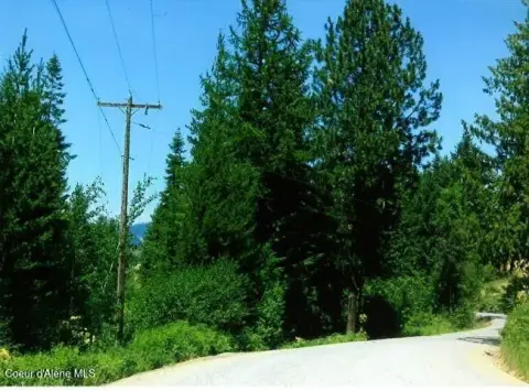 Treed Land in Cataldo, ID