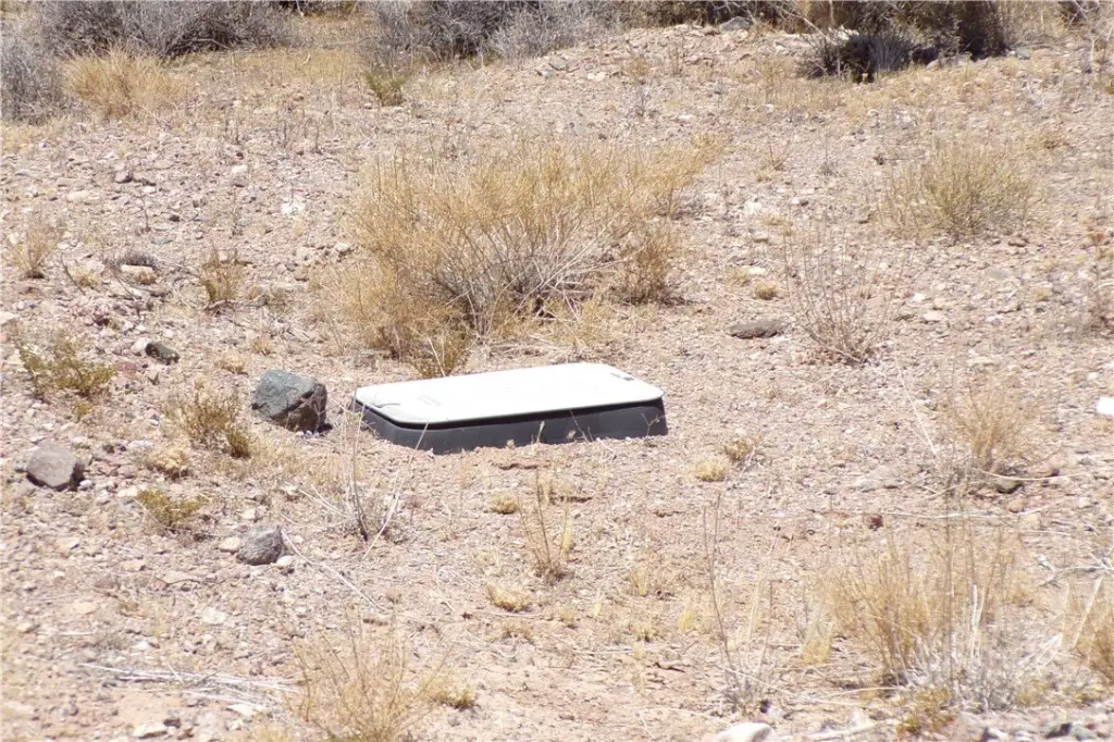 Picture 27