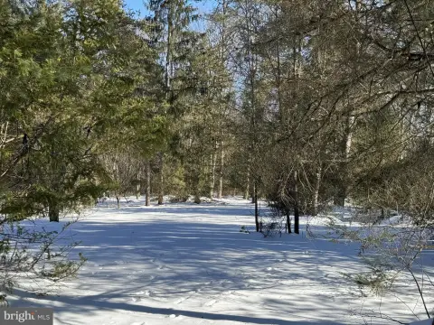Wooded Lot in Deer Lake
