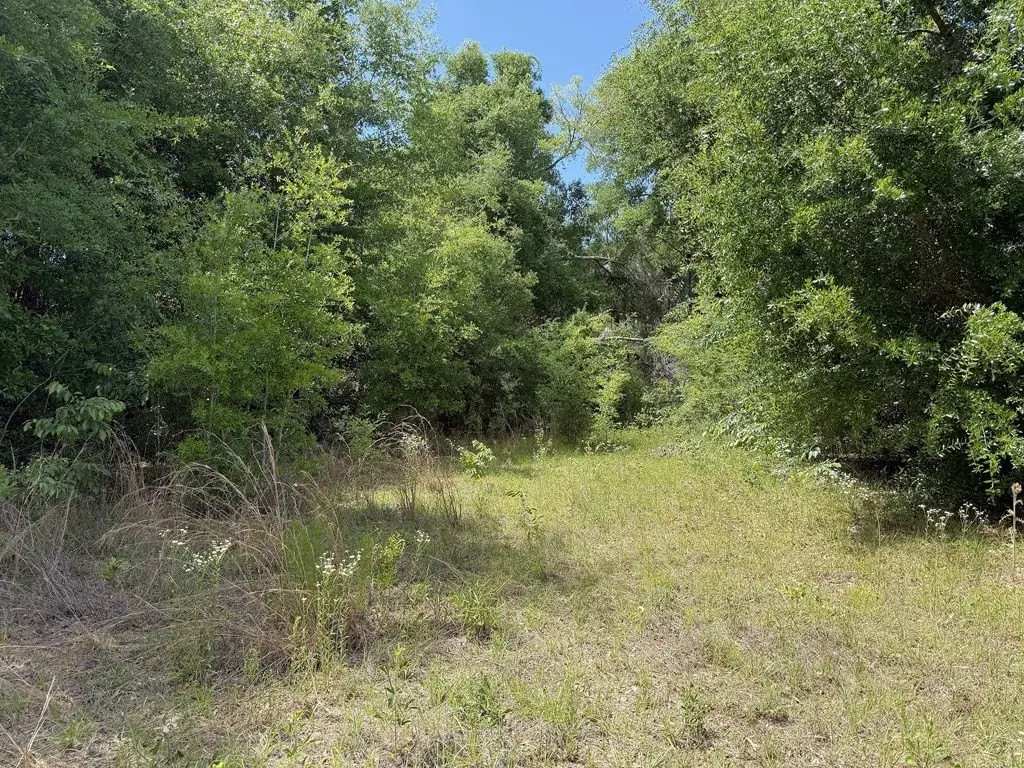 Picture 3