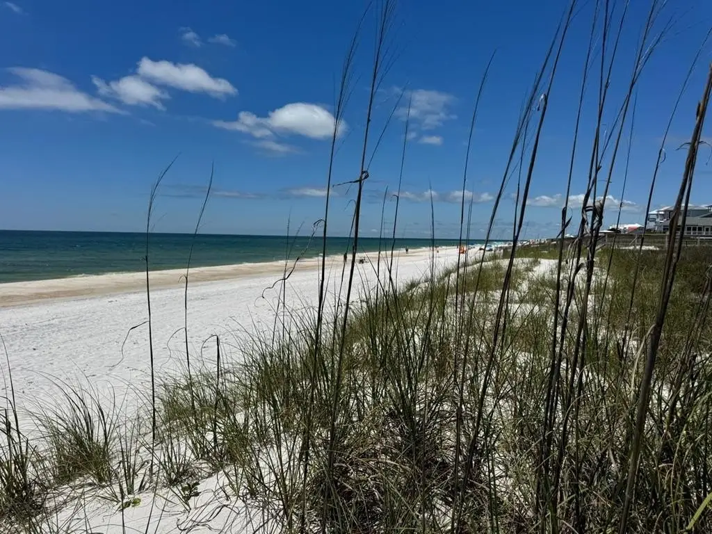 Picture 22