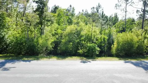 Spacious Homesite in Howard Creek