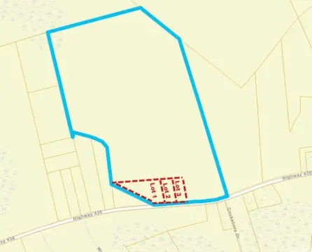 Residential Lot in Nichols, SC