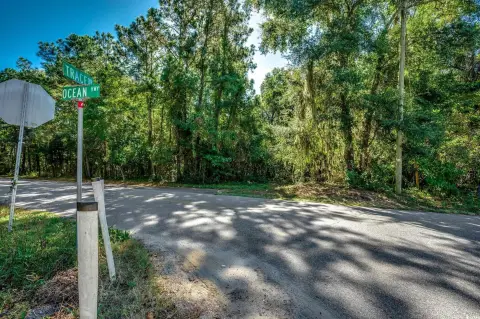 Pawleys Island Commercial Development Opportunity