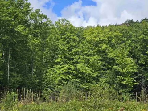 Vacant Land with Pole Barn
