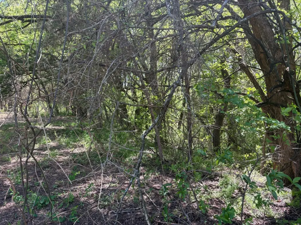 Picture 16