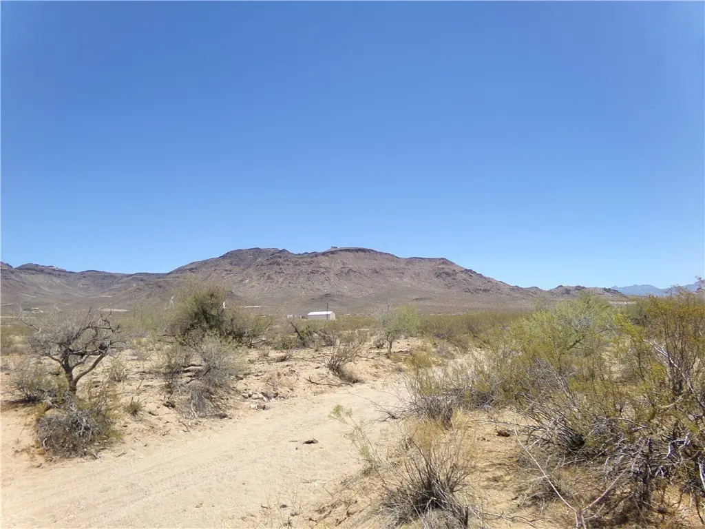 Picture 12