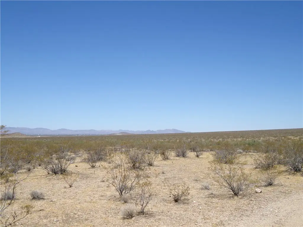 Picture 6