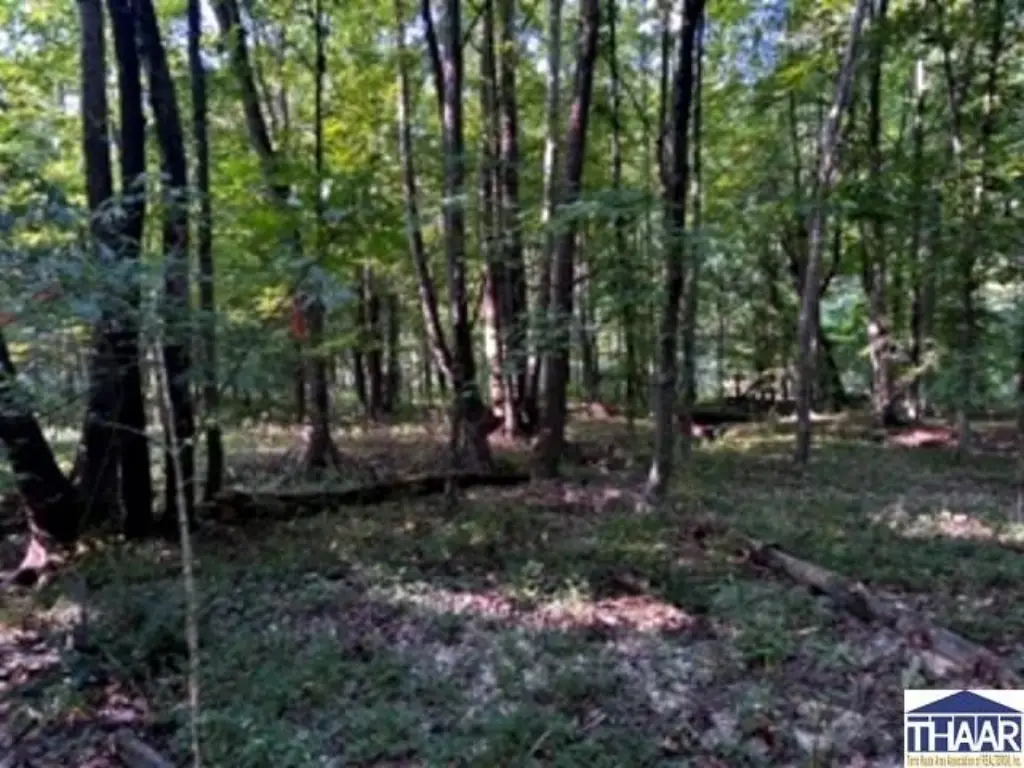 Picture 17