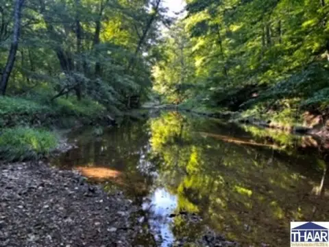 Wooded Waterfront Recreational Land