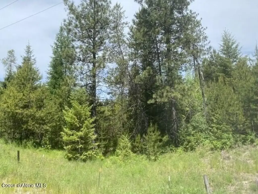 Picture 16