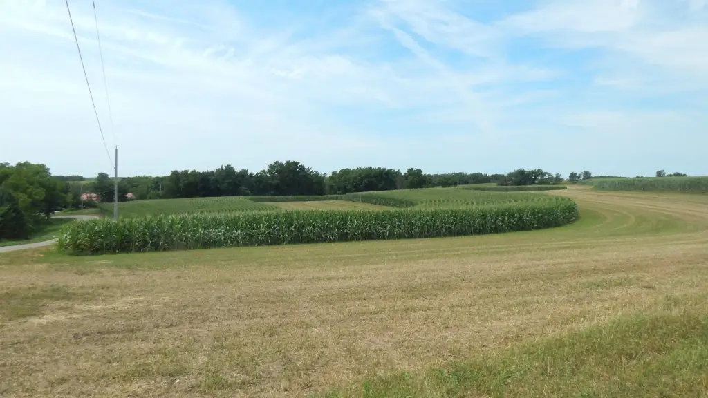 Picture 4