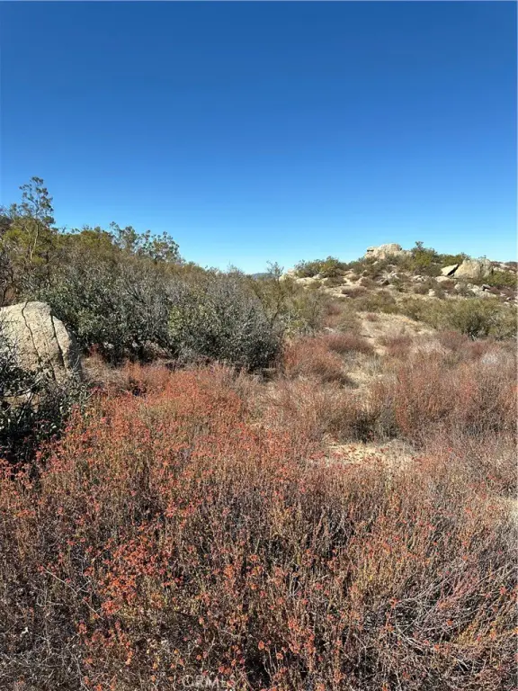 Picture 13