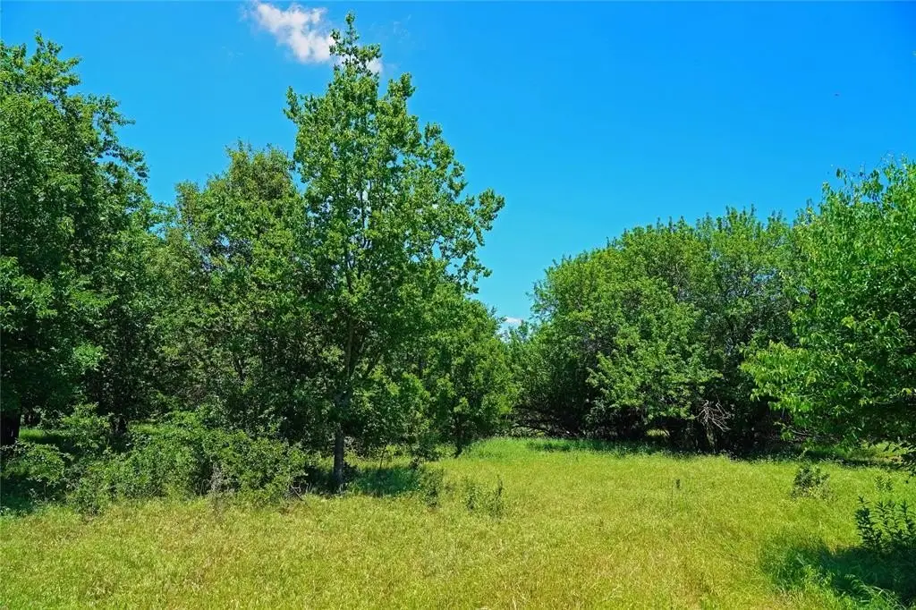 Picture 21