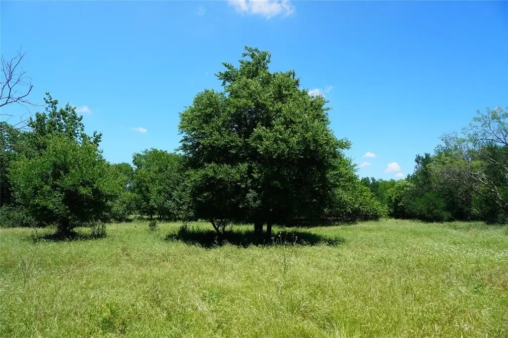 Picture 23