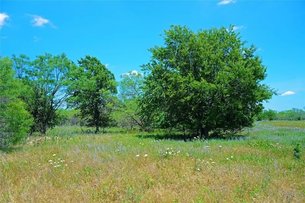 Picture 19