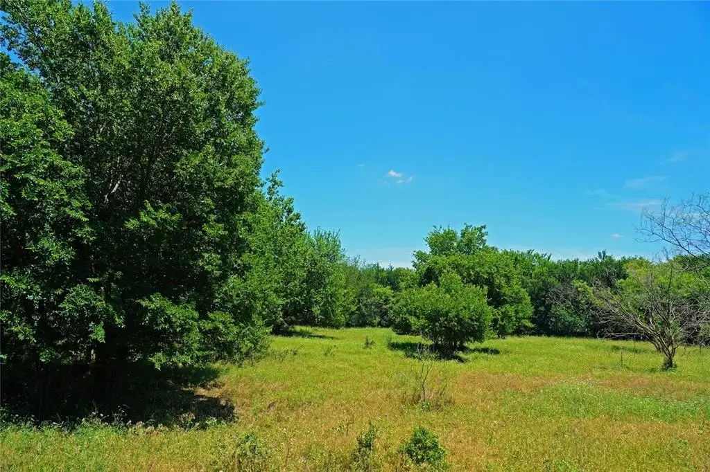 Picture 8