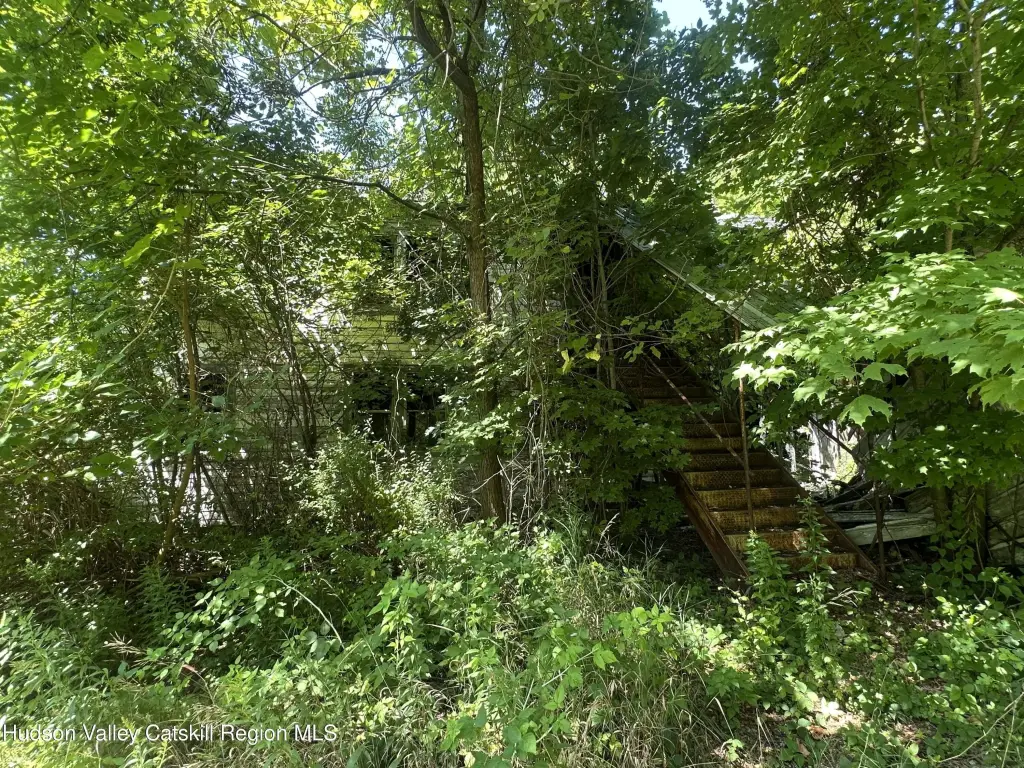 Picture 8