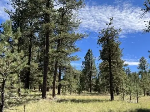 Westcliffe Land with Mountain Views