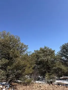 Colorado Land Parcel For Sale