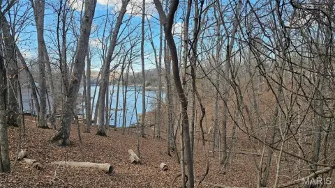 Lake Sherwood View Property