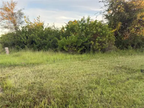 Well-Treed Lot in Port Charlotte