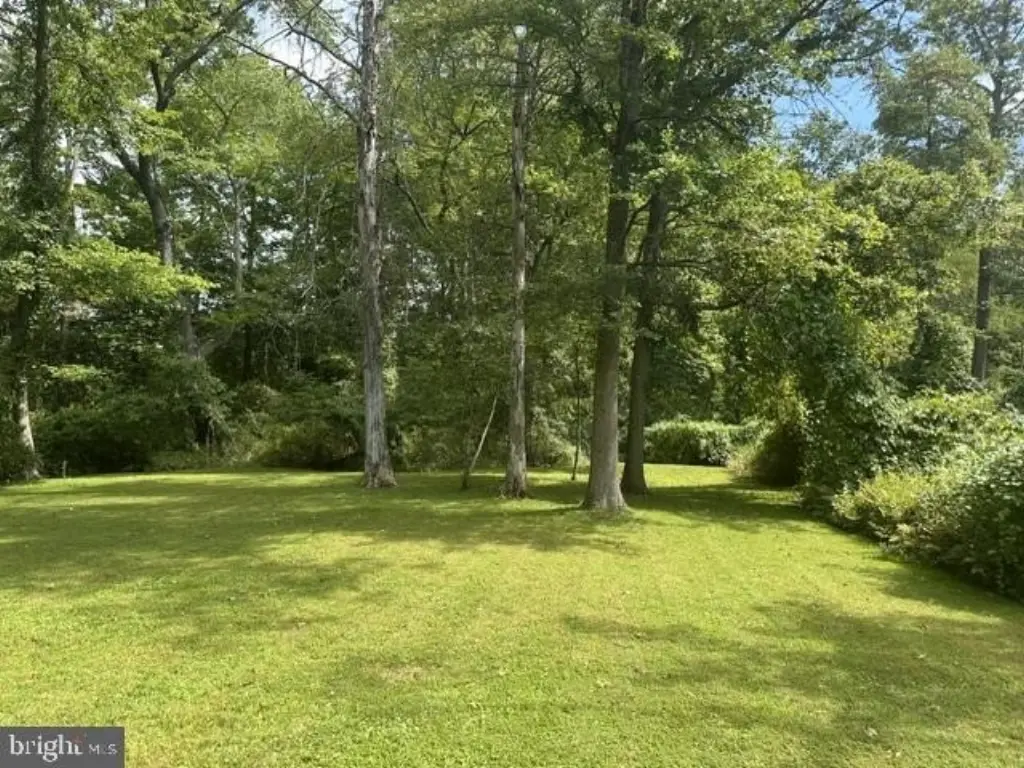 Picture 7