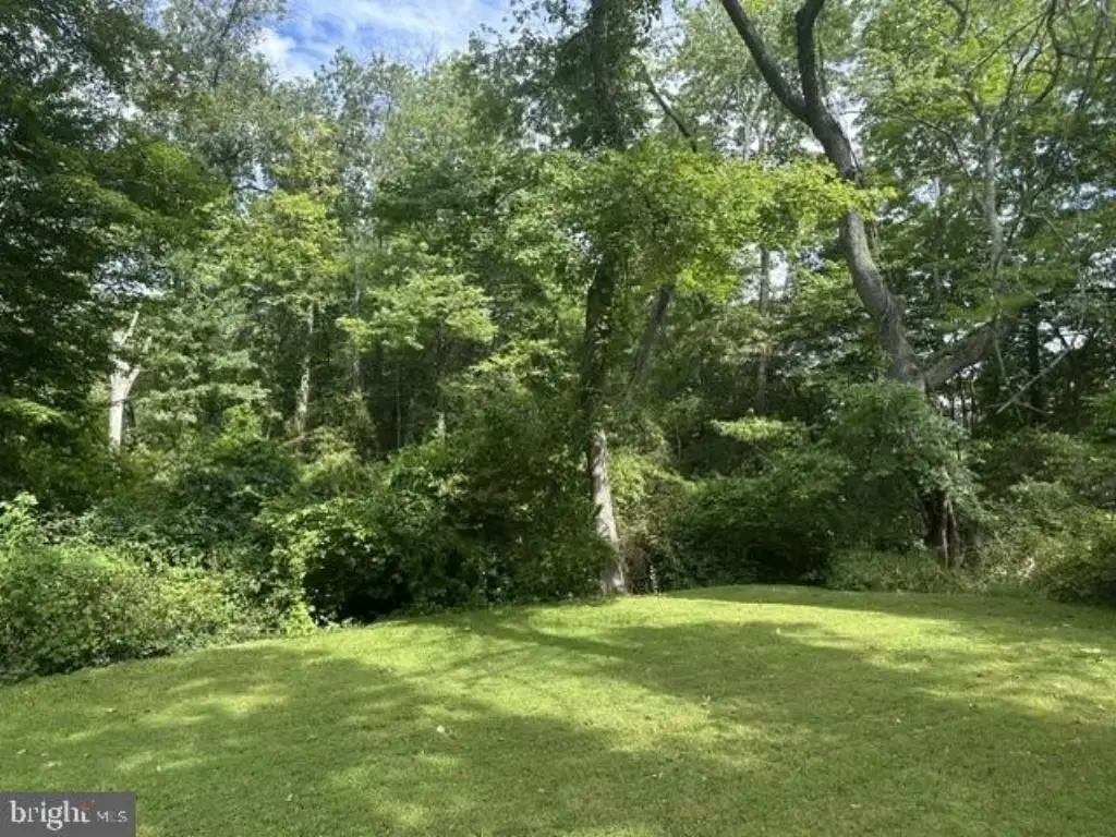 Picture 8